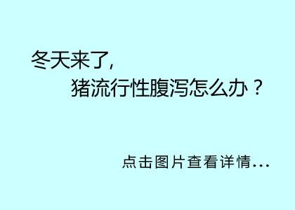 豬流行性腹瀉的預(yù)防與治療